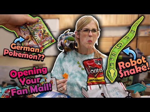 Weird Mexican Doritos in our Mail?! (Fan Mail #28)