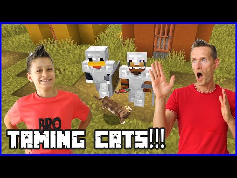 Adventures with Ronald and Taming 3 Cats!!!