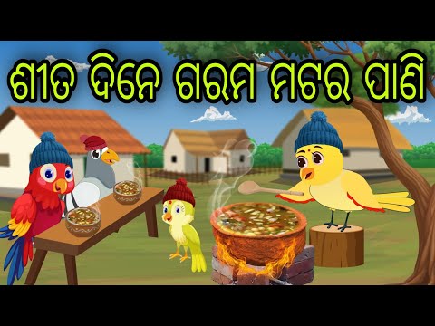 ଗରମ ମଟର ପାଣି | Garama Matar Pani | Tiki Chadhei Gapa | Odia Chadhei Gapa | New Story