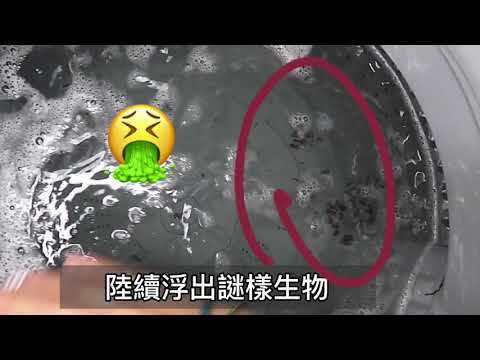 【毛寶兔】超酵素活氧洗衣槽除菌去污劑