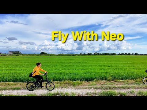 DJI Neo Captures Splendid Green Field