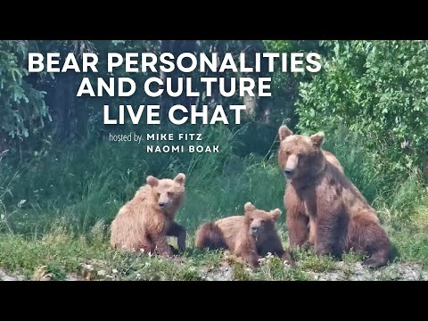 Bear Personalities and Culture | Brooks Live Chat