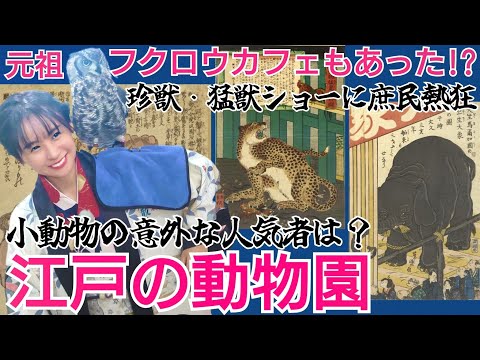 江戸の珍獣動物園～意外な小動物が大人気!フクロウカフェもあった？～