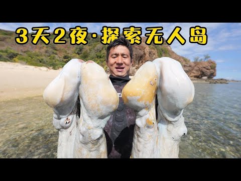 《马达加斯加》第8集：孤身荒岛探险，意外抓获巨型八爪鱼，还有数不尽的大龙虾，收获震撼！#抓龙虾 #无人岛 #荒岛探索 #海钓 #潜水 #荒岛 #抓螃蟹