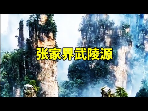 张家界武陵源Zhangjiajie Wulingyuan#武陵源#张家界