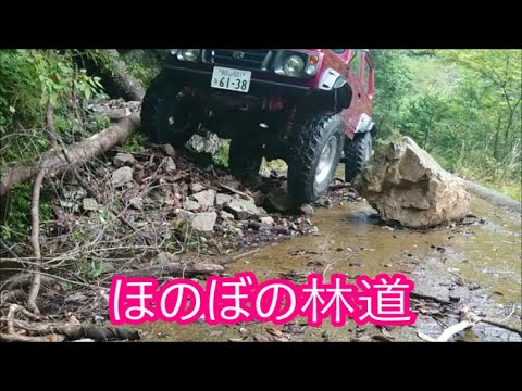 【名も無き林道シリーズ】　末っ子から新車のＪＢ７４でも走れるほのぼの林道探せっ！とリクエストきました