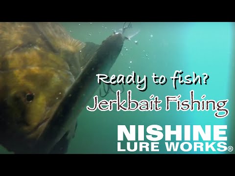 [JERKBAIT] Ready to fish with Nishine Lure Works?  Jerkbait Fishing at Erie