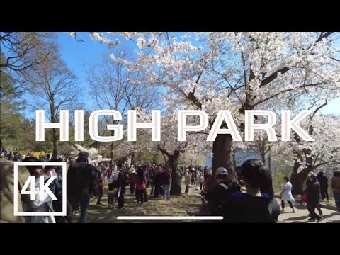 High Park | 4K Walk Toronto (May 2022)