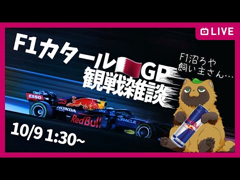 【 #F1 】砂漠の魔境！？カタールGPを観戦していく！