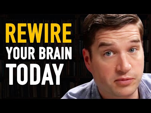 The Procrastination Cure Nobody Tells You (How To Be Productive & Get Work Done) | Cal Newport