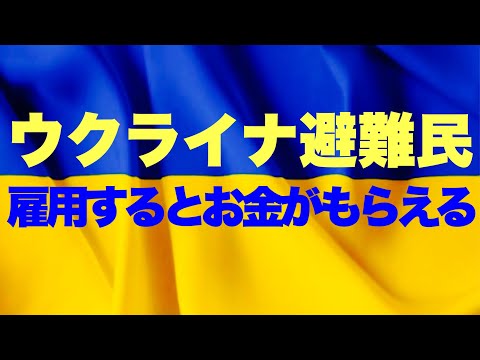 【特定求職者雇用開発助成金】ウクライナ避難民を雇用してお金がもらえる!