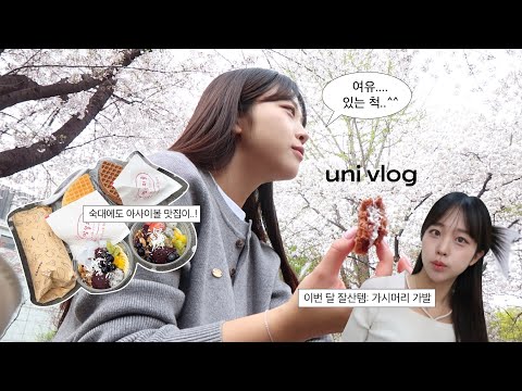 8학기 대학생 브이로그 ep.6ㅣ밥심으로 살아가는 4학년 (ft. 벚꽃감성 한스푼)