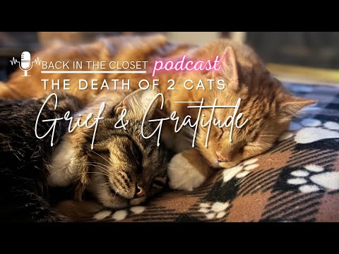 Grief & Gratitude | Back In The Closet | Two Crazy Cat Ladies