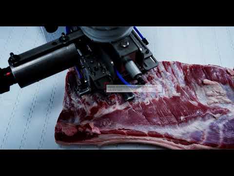 Automatic pulling of ribs from pork bellies