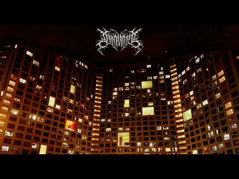 Cingulate - Sentience (Full- Length: 2024)