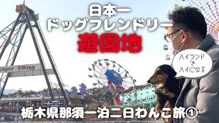 【犬連れ栃木那須旅行】ドッグフレンドリー過ぎる那須ハイランドパークで遊ぼう！栃木県那須一泊二日わんこ旅1/3旅するペットショップの売れ残りと元保護犬