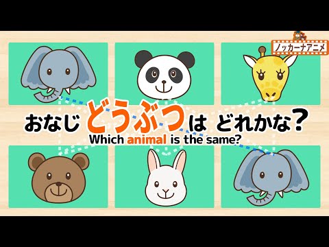 【どうぶつ24種類】同じ動物を線でつなごう！知育【赤ちゃん・子供向け動画】Which animal is the same?