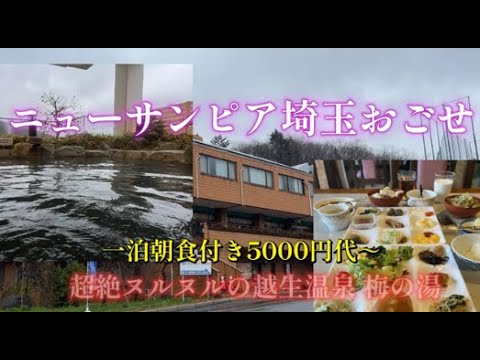 ホテルニューサンピア埼玉おごせに宿泊【超絶ヌルヌルに変貌した温泉( ﾟДﾟ)‼】