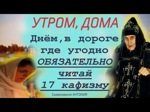 УТРОМ, ДНЁМ, ДОМА или В ДОРОГЕ: читай 17 кафизму! Матушка Антония о важном