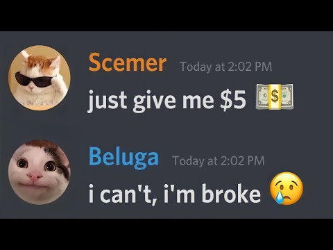 When a Scammer Texts Beluga...