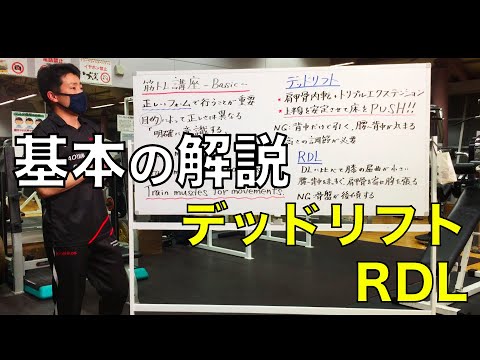 【背中・お尻トレーニング（解説）】効率の良い背中・お尻のトレーニングを徹底解説！