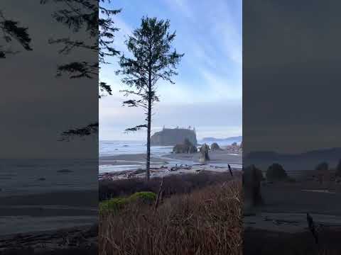 Have you ever been to Ruby Beach? Known for its reddish sand & iconic rock formations 🌧🌈💕 #shorts