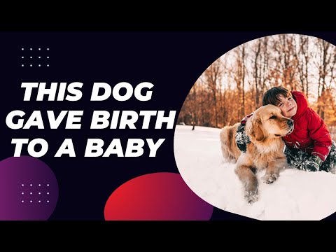 THIS DOG GAVE BIRTH TO A BABY