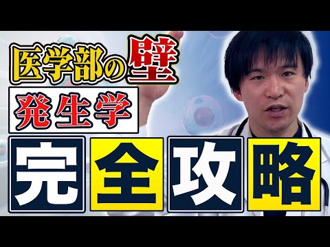 【医学部発生学】聞き流しでOK！現役医師が教える完全攻略法！