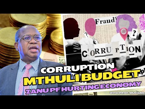 Corruption, Mthuli tax budget, Zanu PF hurting economy- Prof Mugano #situation