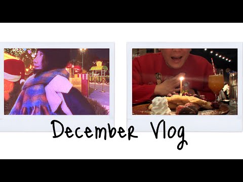 12月Vlog丨给大枣过生日丨开心的环球影城｜大扫除丨Savislook