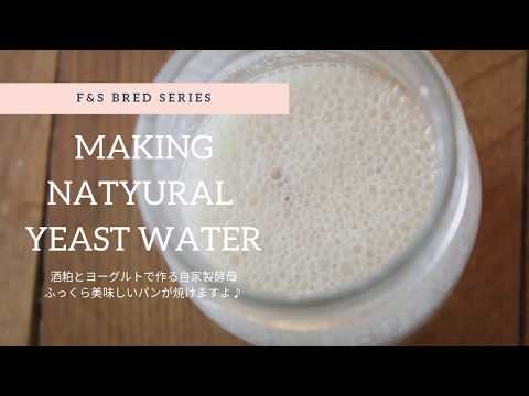 【酒粕ヨーグルト酵母】How to make natural sake less yoghrt yeast water