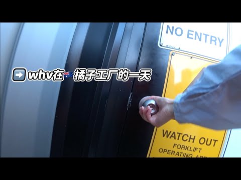 VLOG｜在🇦🇺橘子工厂工作的一天｜还能实现水果自由？