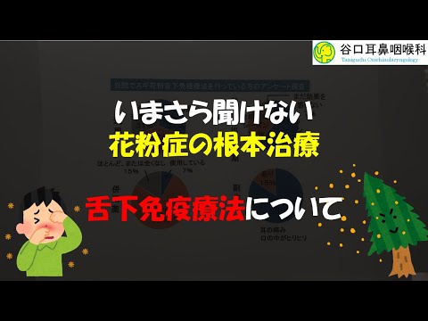 【現役医師が教える！】いまさら聞けない花粉症の根本治療【舌下免疫療法】