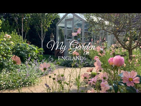 #95 Hello Autmun | My Cozy Decoration Day and Garden Update | Picking Blackberries