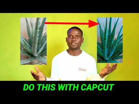 Simple hacks using capcut (video editing tutorial)