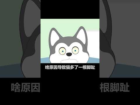 【宠物科普】你知道猫咪怎么有6个脚趾头吗？