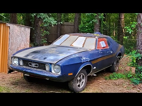 Mustang Chicken Coupe Walkthrough/Plans