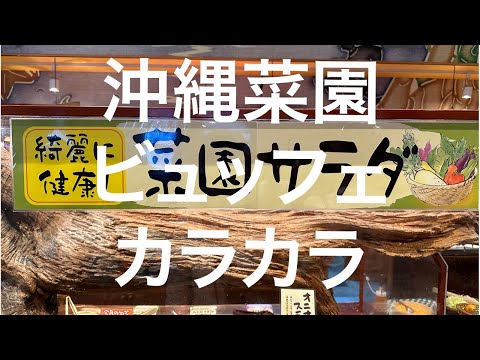 【沖縄南部】沖縄菜園ビュッフェ カラカラ 2024/1/22