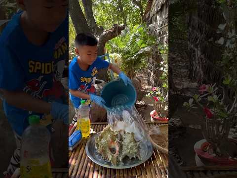 Yummy ocean snail cooking