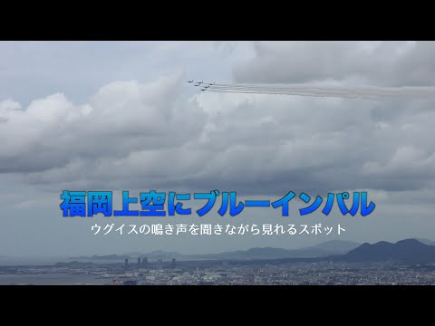 福岡上空にブルーインパルス！山の上から！