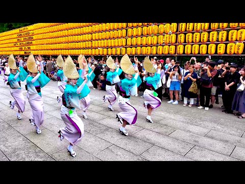 Walk in shrine lantern festivals "Mitama-Matsuri” Awa Odori and Nebuta.【4K Japan ASMR】