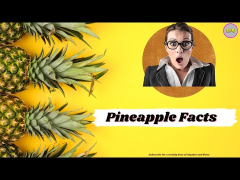 Pineapples Facts #shorts #pineapple #facts #didyouknow  #cardio #exercise #walking  #lifestyle #gym