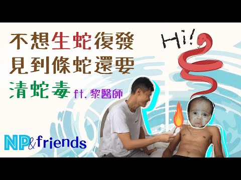 NP&Friends 2】清蛇毒原理 Ft.黎醫師 生蛇後處理(帶狀皰疹)【勿自試】 |CC字幕