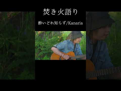 【焚き火語り:Kanaria/酔いどれ知らず】#shorts #弾き語り #焚き火語り #cover  #焚き火語り #カバー #低音