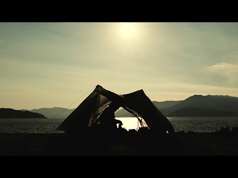 Solo camping on the beach.With wild animals eating erotic books - tarptent Stratospire2