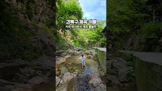 강북에 숨은 계곡 카페!! #서울여행 #서울가볼만한곳