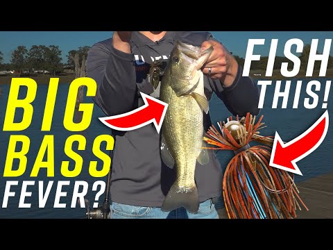 How to Fish a Jig from the Bank for Big Bass!