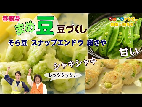 【簡単 美味しい 春の豆づくし４品】◎スナップエンドウの洋風おひたし　◎絹さやとちりめんのペペロンチーノ　◎そら豆の落とし焼き　◎春の豆のつくね