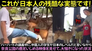 ハーバードの講義中に、中国人の学生が日本のレベルだと言いながら奈良公園の鹿をいじめる映像を見せて、大騒ぎになった状況