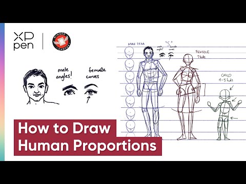 How to Draw Human Proportions